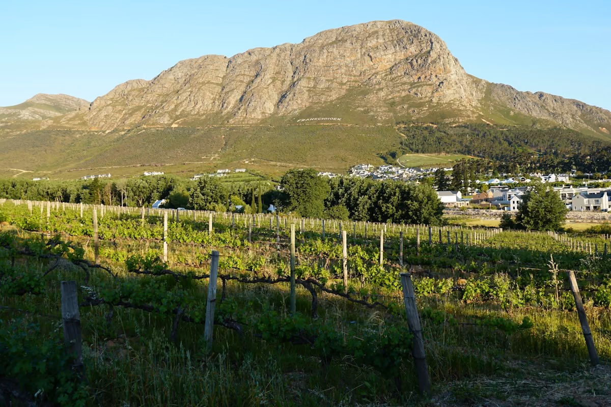 Weinberge in den Cape Winelands, am schönsten im Herbst