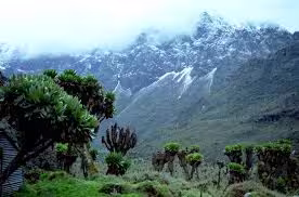 Montañas Rwenzori